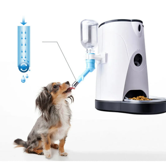 Automatic Cat Food Dispenser