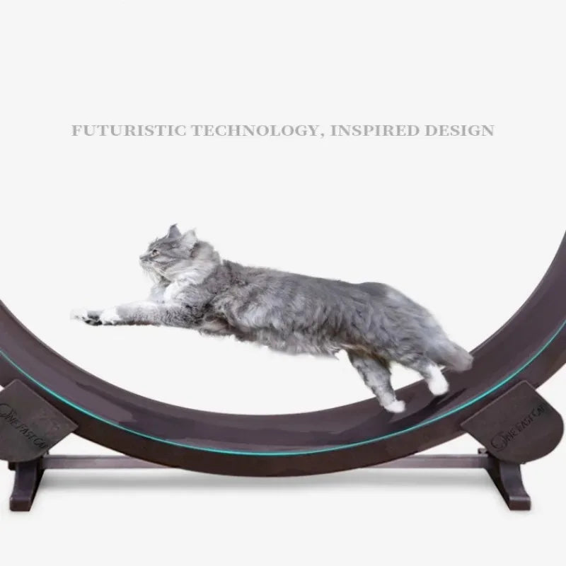 Pet Running Exercise Wheel Treadmill