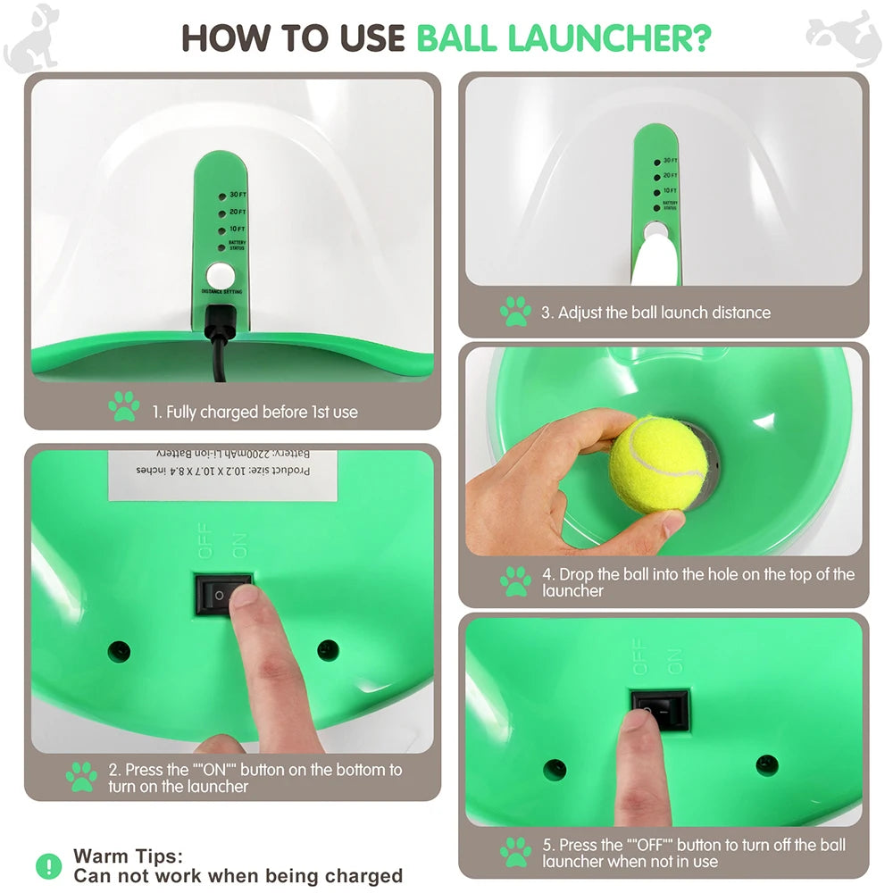 Dog Automatic Ball Launcher