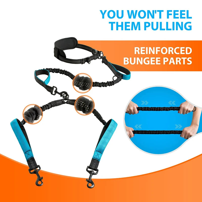 Strong Hands Free Double Dog Leash