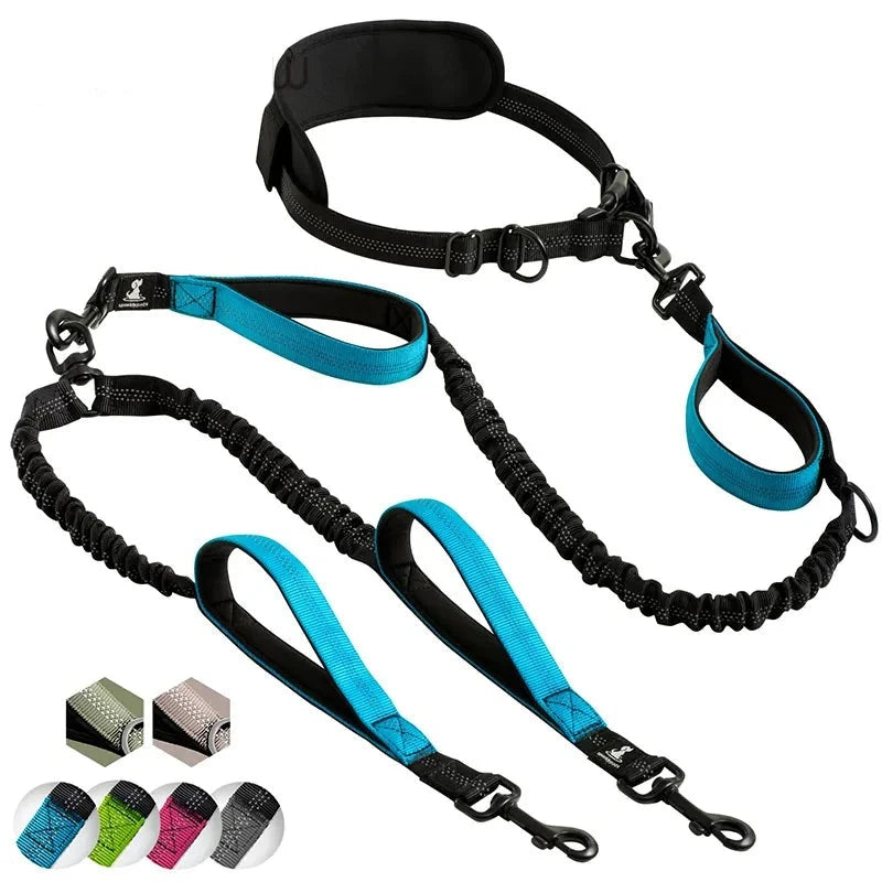 Strong Hands Free Double Dog Leash