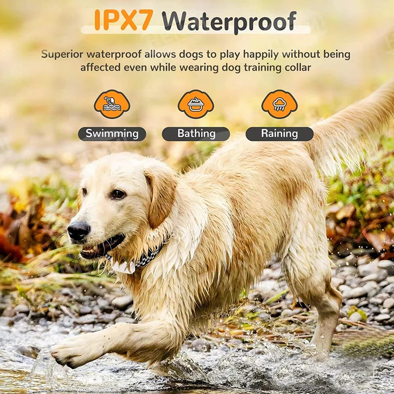 Electronic Control Dog Trainer Collar