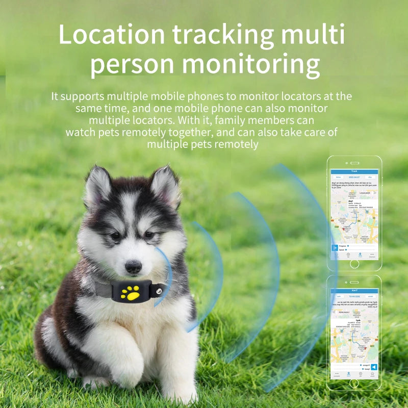 Dog GPS Tracking Collar