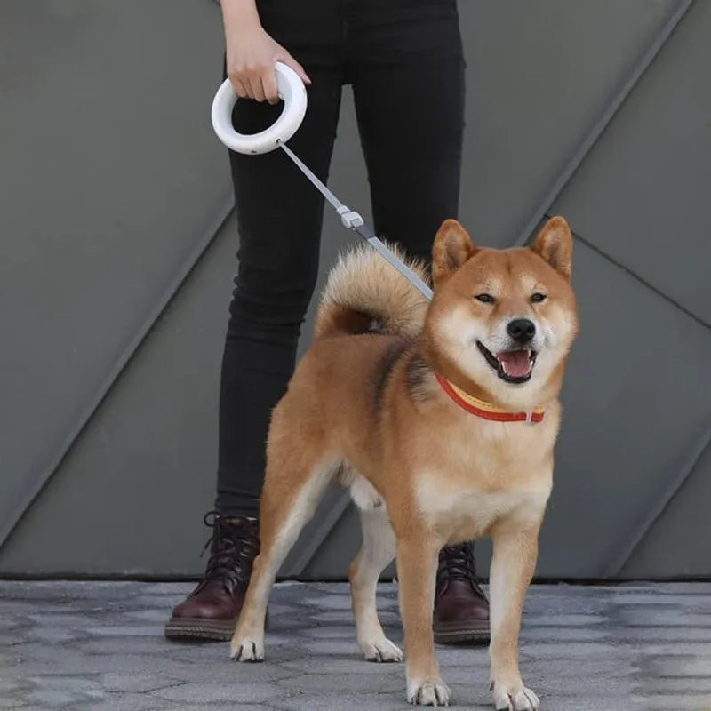 Pet Light Night Walk Smart Dog Leash