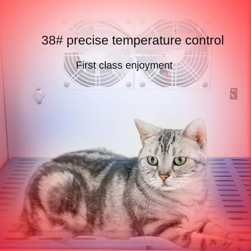 Automatic Cat Hair Dryer