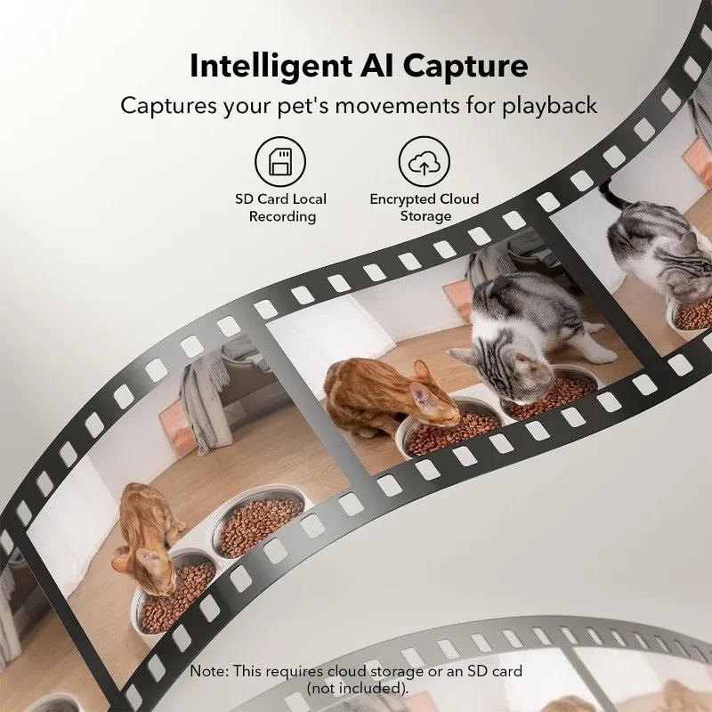 Automatic Cat Camera Feeder