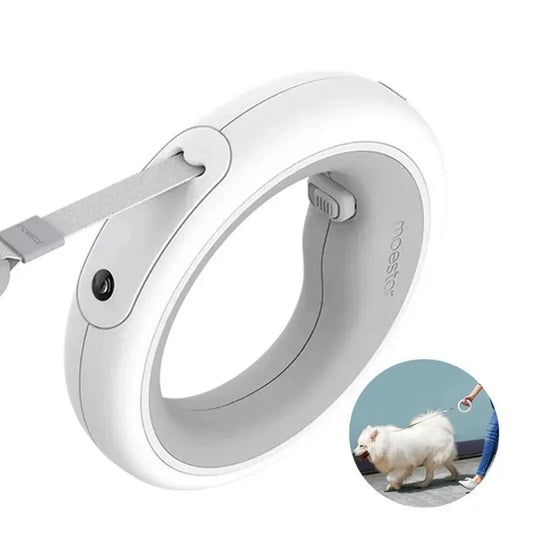 Pet Light Night Walk Smart Dog Leash
