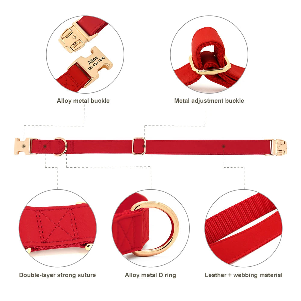 Dog Collar Harness Leash Set