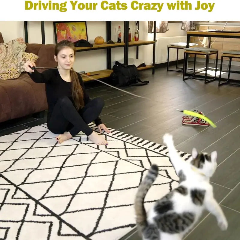 Interactive Cat Toys - Retractable Wand Toy and Feather Toys Refills for Indoor Cats to Chase and Exercise
