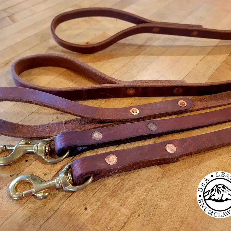 Dna Leather + Harness Leather Dog Leash + 3Ft + 6Ft