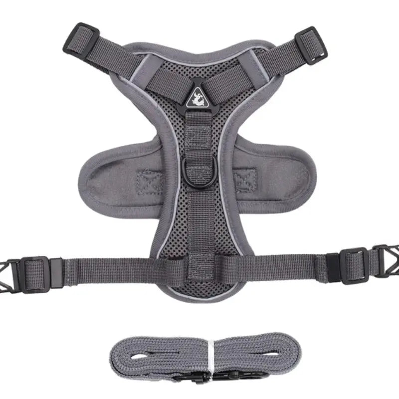 No Pull Dog Harness and Leash Set Adjustable Pet Harness Vest for Small Dogs Cats Reflective Mesh Dog Chest Strap